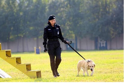 警花与警犬樱桃是怎么死的 第几集死的