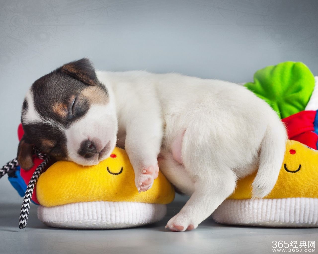 晚安心语：晚安！祝您好梦！