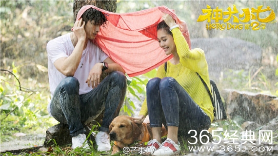 神犬小七第二季更新时间