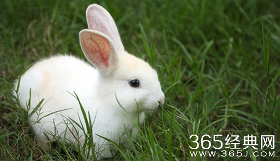 超经典的神回复，真是吊炸天了