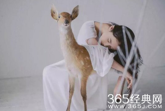 想要轻轻松松赚钱的人请进来看