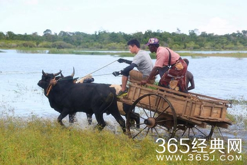 吴奇隆录节目坠牛车 情况不明疑旧伤复发
