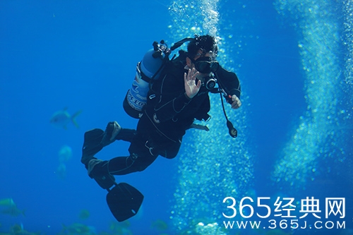 《挑战者联盟》李晨海洋馆与鲨共舞上演惊险瞬间