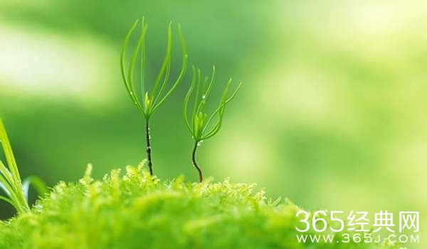 只要活着，我们就要更好地生活