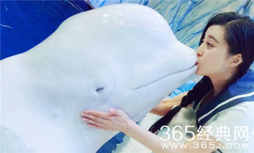 范冰冰甜蜜献吻 被白鲸萌的毫无招架之力