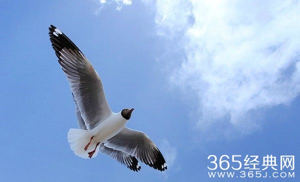 出路出路，走出去才有路