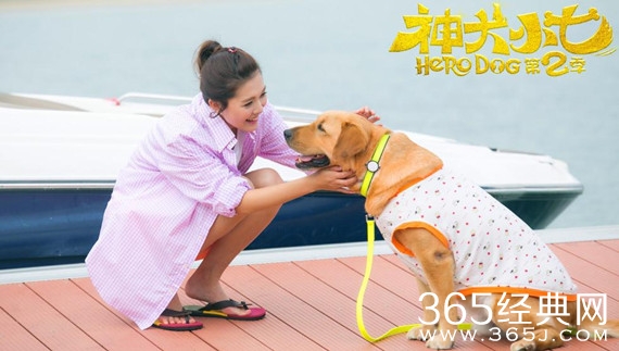 神犬小七第二季欧叶衬衫外套购买