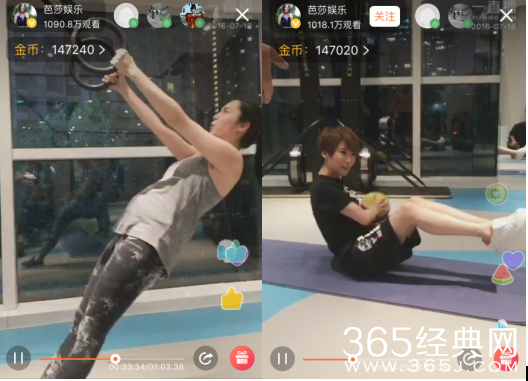 姚晨一直播炫腹 谢楠变海狮贡献表情包