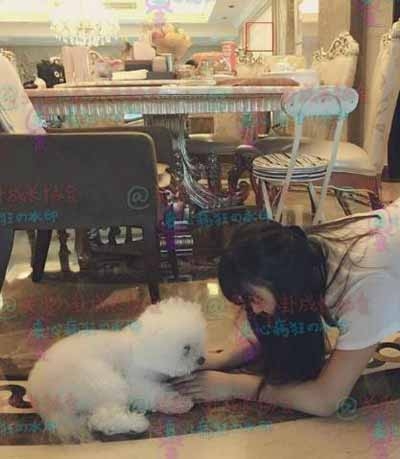 赵丽颖豪宅内景曝光 奢华程度不输范冰冰