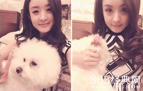 赵丽颖豪宅内景曝光 奢华程度不输范冰冰