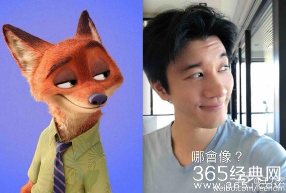 王力宏夫妇cos兔朱迪狐尼克 狗粮发出新姿势