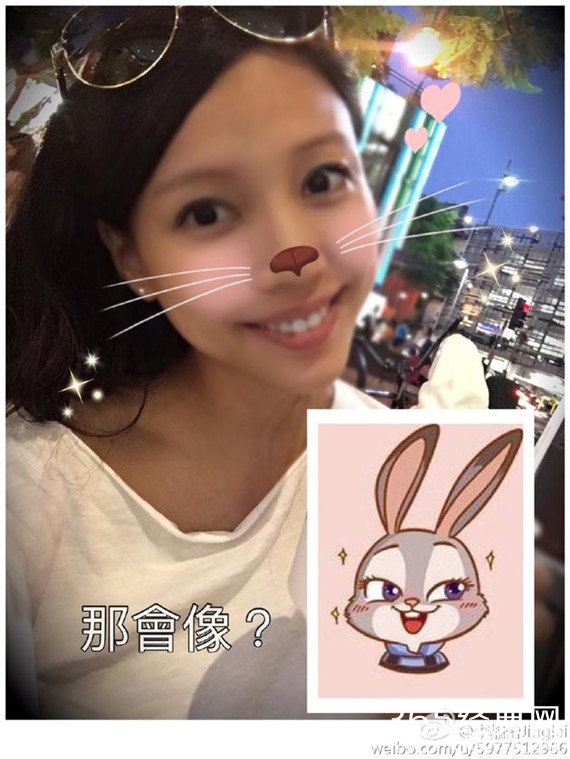 王力宏夫妇cos兔朱迪狐尼克 狗粮发出新姿势