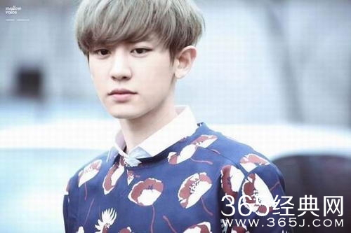EXO朴灿烈为玩盗版游戏公开道歉 删除视频