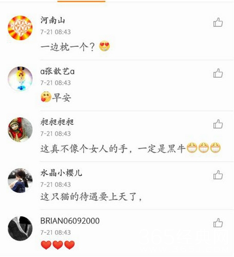 范冰冰半夜晒抱猫照片 网友：手臂是李晨的