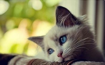 经典语句：思考时，要像一位智者；但讲话时，要像一位普通人