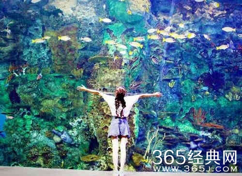 夏日清爽游海洋馆 陈冰“初吻”海豚显童心