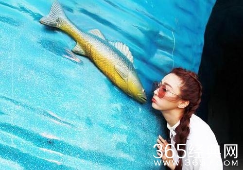 夏日清爽游海洋馆 陈冰“初吻”海豚显童心