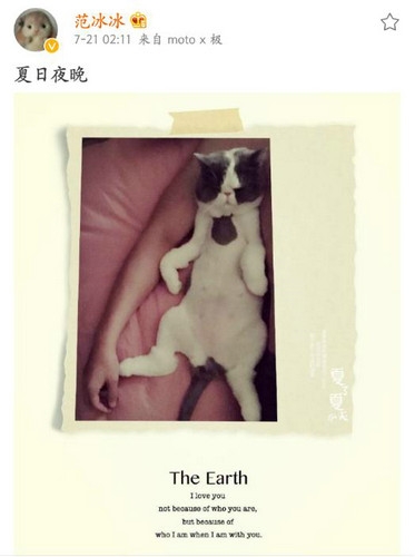 范冰冰半夜晒抱猫照片 网友：手臂是李晨的