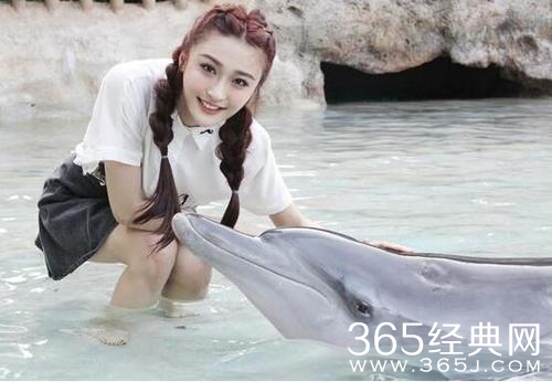 夏日清爽游海洋馆 陈冰“初吻”海豚显童心