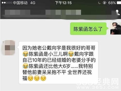 陈紫函被曝当小三 插足戴向宇十年婚姻