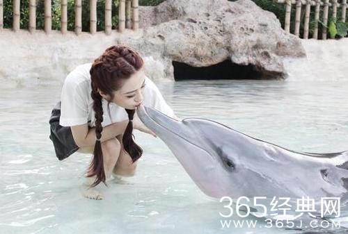 夏日清爽游海洋馆 陈冰“初吻”海豚显童心