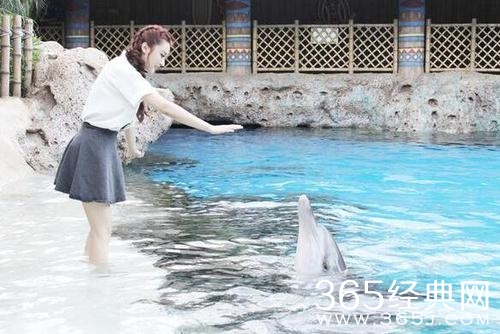 夏日清爽游海洋馆 陈冰“初吻”海豚显童心