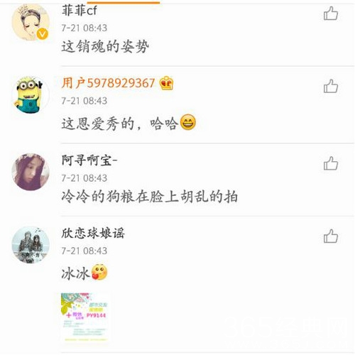 范冰冰半夜晒抱猫照片 网友：手臂是李晨的