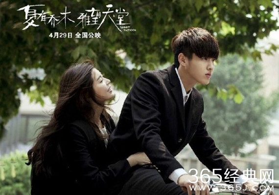 夏有乔木雅望天堂重新定档