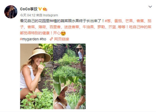 这样朴实无华的李玟太罕见 素颜下地收瓜果