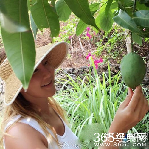 这样朴实无华的李玟太罕见 素颜下地收瓜果