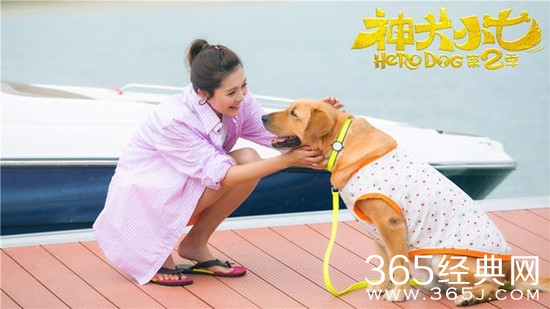 2016年暑假最热门最好看的电视剧推荐