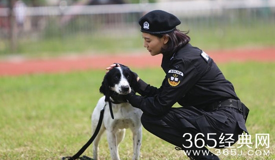 2016年暑假最热门最好看的电视剧推荐