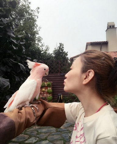 李小冉与粉红鹦鹉同框卖萌 网友称都很嫩