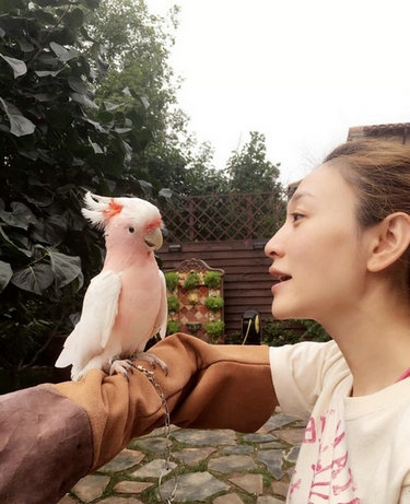 李小冉与粉红鹦鹉同框卖萌 网友称都很嫩