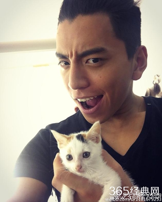 王大陆晒与小猫合影 网友吐槽吃完孩子又吃猫