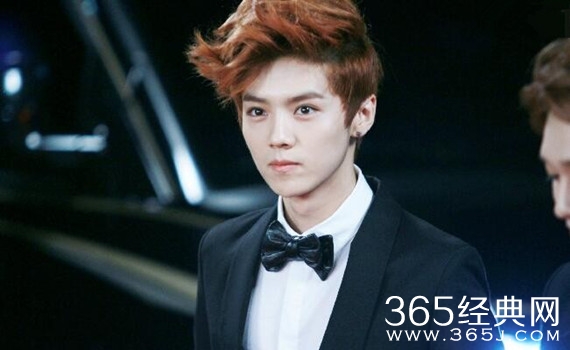 何炅为什么不喜欢鹿晗