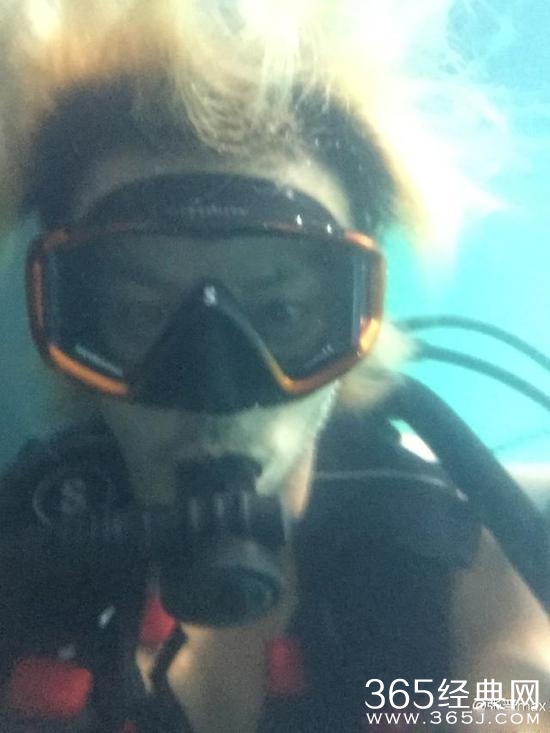 张晋要做一条安静的美人鱼 蔡少芬却想捉他回来