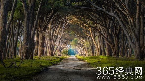 我们碰触到的，只是一种流年的历练