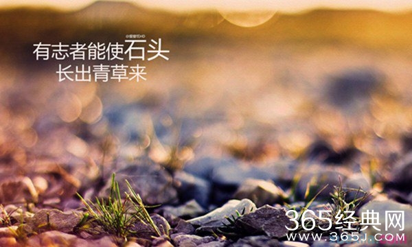 励志语录：失意时自我鼓励的语句