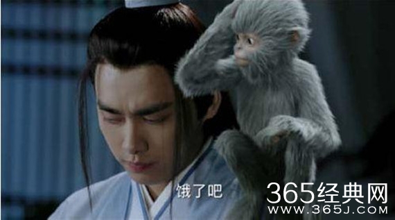 诛仙青云志小灰喝的什么水 小灰身世大结局揭秘