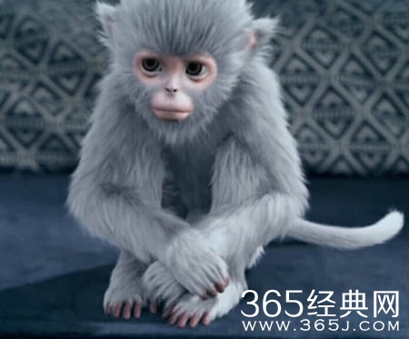 《青云志》版权收益超3亿 火了周播热了付费市场