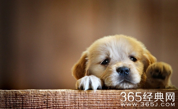 实际上不是这样的