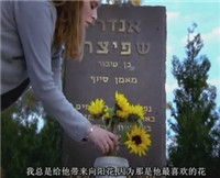 365每周放映室第1期：奥运特辑