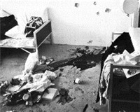 365每周放映室第1期：奥运特辑