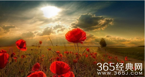 人生感悟:我们不能控制生活，但是我们能够和它斗争