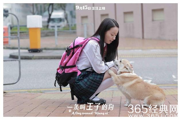 《一条叫王子的狗》定档9·15萌动中秋