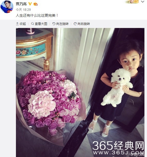 贾乃亮晒玫瑰花和女儿叹人生完美 甜馨更可爱了