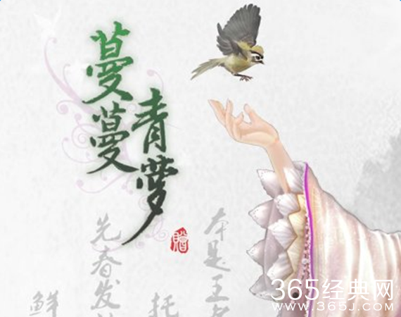 电视剧蔓蔓青萝经典台词