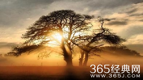 苏格拉底经典语录—最优秀的人就是你自己