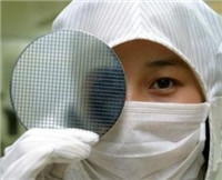 365每周放映室第2期：经典电视纪录片